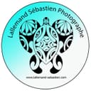 store_logo